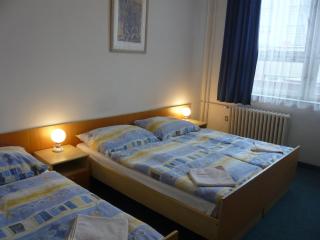Hotel Hasa - Prague - 6