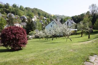 Ferienwohnung Friedrich - Mildenau - 8