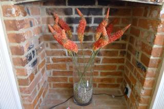 Loom Cottage - Southwold - 7