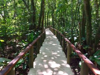 Pachira Lodge - Tortuguero - 4