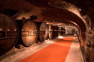 Chateau de Saint Martin - Taradeau - 9