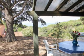 Villa Cedro - Capoliveri - 7