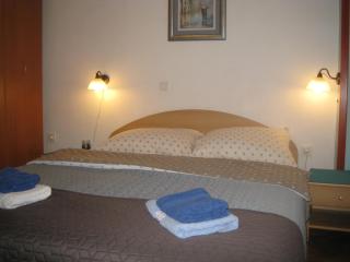 Apartment Medo - Ravna Gora - 1
