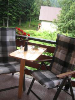 Apartment Medo - Ravna Gora - 5