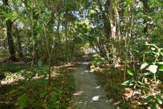 Villa Frangipani - Port Douglas - 8