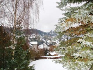 1 Bedroom Cozy Apartment In Schönecken - 5