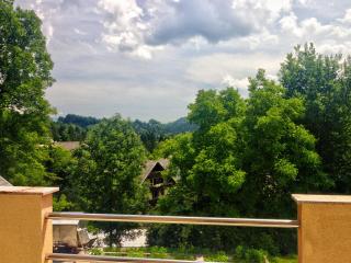 Apartmaji Grilc - Bled - 9