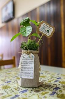 Sadas Hotel - São Mateus do Sul - 9