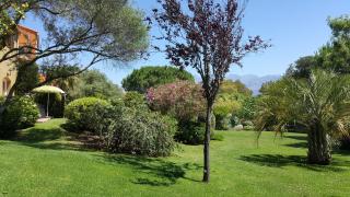 Résidence A Merula - Calvi - 2