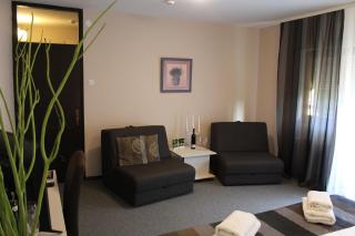 Hotel Danica - Vrnjačka Banja - 2