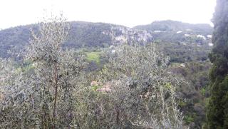 Les lilas blancs - Villefranche-sur-Mer - 2