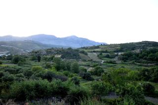 Villa Axenti - Agios Thomas - 6
