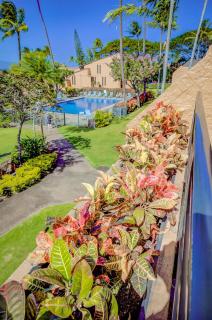 Kuleana Resort 507 - 5