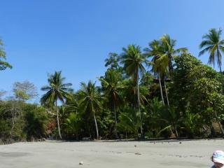 Dos Casitas - Ojochal - 3