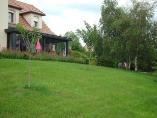 Chambres sous les vignes du Buttois - Bussy-le-Grand - 5