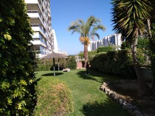 6 Carrer Llevant - Benidorm - 9