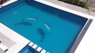 Hotel Posada La Pastrana - 2