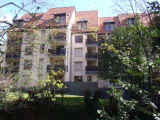 l'ecureuil - Munster - 9