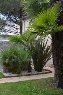 Le Petit bois - Niort - 9