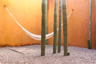 Hotel Cosijo - San Jeronimo Tlacochahuaya - Città di Oaxaca - 1