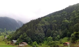 Talipoğlu Apart - Uzungöl - 5