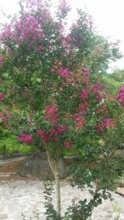 Bright Moon Homestay - Dongshi - 4