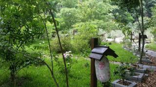 Bright Moon Homestay - Dongshi - 3