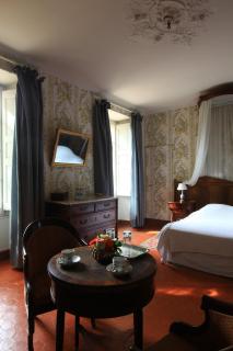Chateau de Saint Martin - Taradeau - 8