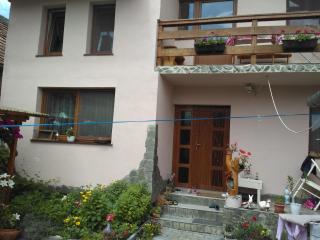 Casa Teo - Ocna Sibiului - 0
