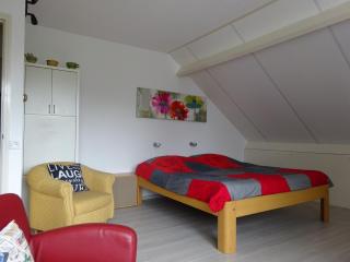 B&B Mendelts - Emmen - 4