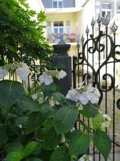 Aux Herbes Folles - Herve - 7