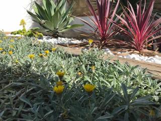 Dimora Ammare - Agrigento - 9