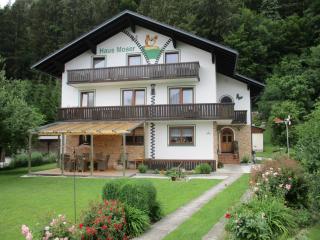 Haus Moser - Wörschach - 0