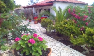 Villa Elvira - 9