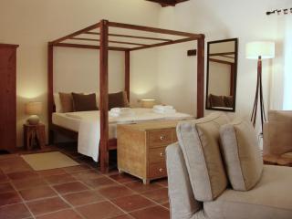 Casa Rural Palomar - Men Only - Fataga - 9