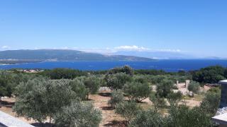 Holiday House Maslina - 9