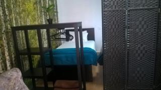 Casa do Limoeiro - Quinta do Conde - 9