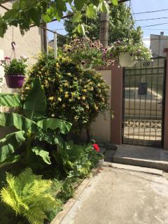 Casa Litoral - Constanza - 2