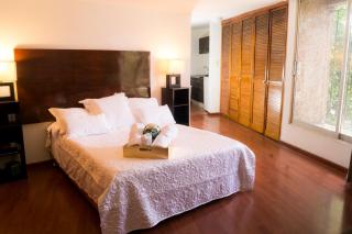 Suite 1C, Balcon, Garden House, Welcome to San Angel - 5
