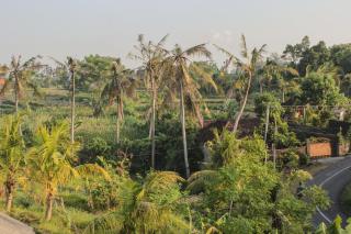 Ancut Sari - Ubud - 8