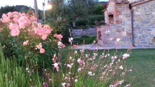Agriturismo Valiana - Montegabbione - 5