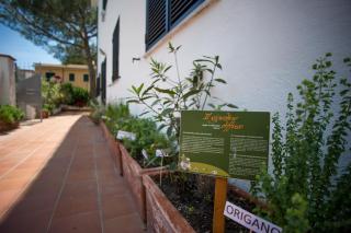 Hotel Punto Verde - Marina di Campo - 3
