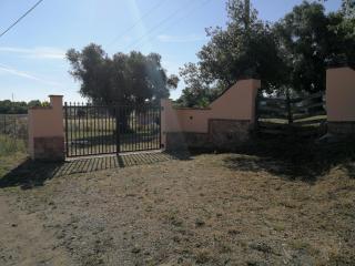 I due Ulivi - strada per La Caletta - 5