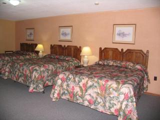 Seven Oakes Motel - Kingston - 5