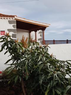 Casa Los Viñedos A - Fuencaliente de la Palma - 3