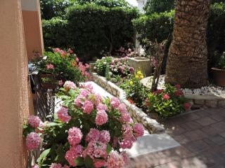 Neda Apartmani - Mali Lošinj - 9