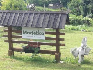 apartma Marjetica - Blejska Dobrava - 6