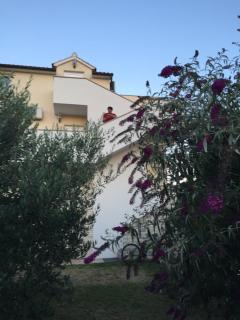 Apartment Silva - Vodice - 1