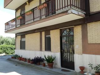 B&B Casa degli Ulivi - Nettuno - 2
