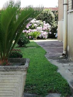 B&B Casa degli Ulivi - Nettuno - 1